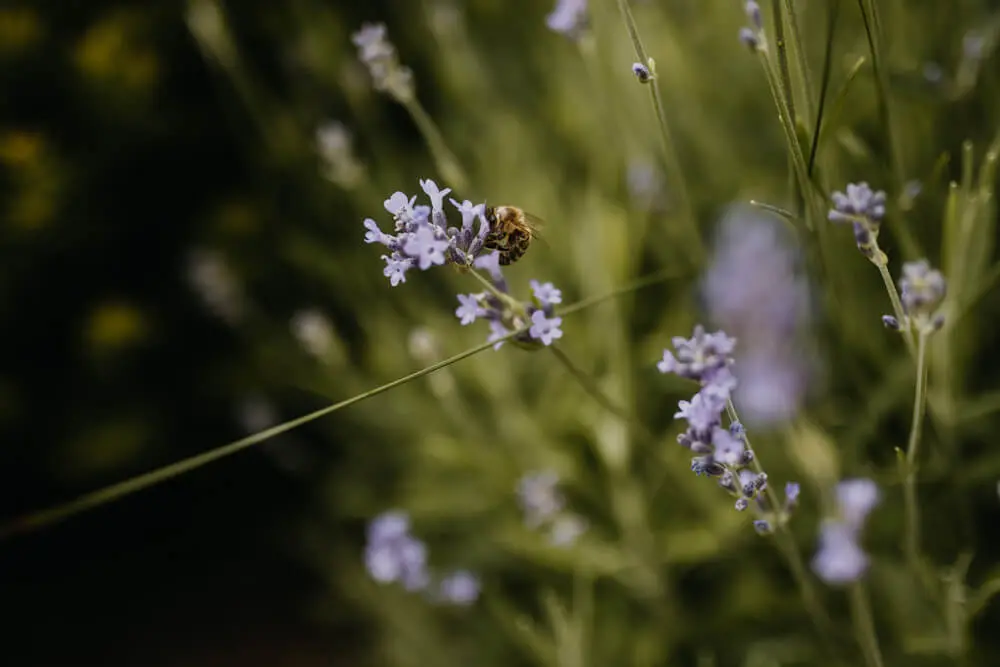 Oberbauergut Location